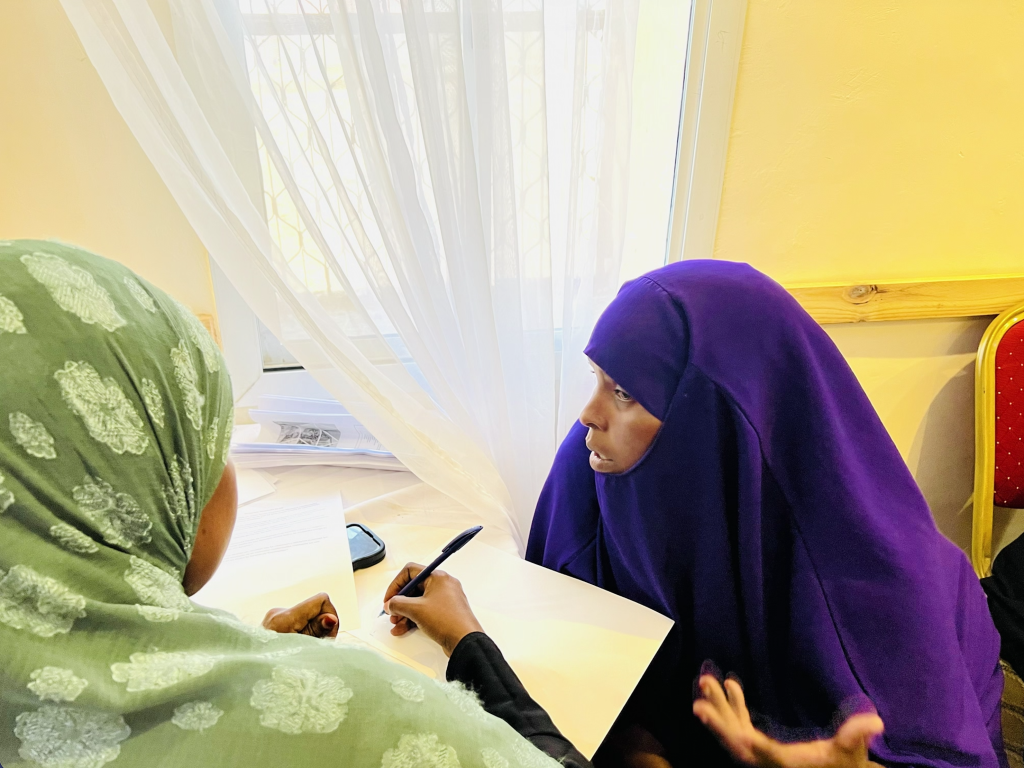 Empowering 30 Internally Displaced Women through Entrepreneurship Training and Business Start-Up Support in Garowe, Somalia