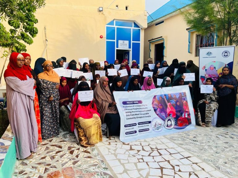 Tackling Period Poverty in Somalia by Empowering Women and Girls to Make Reusable Sanitary Pads Using Commonly Found Materials